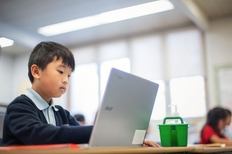 Comprehensive Education for Lifelong Success